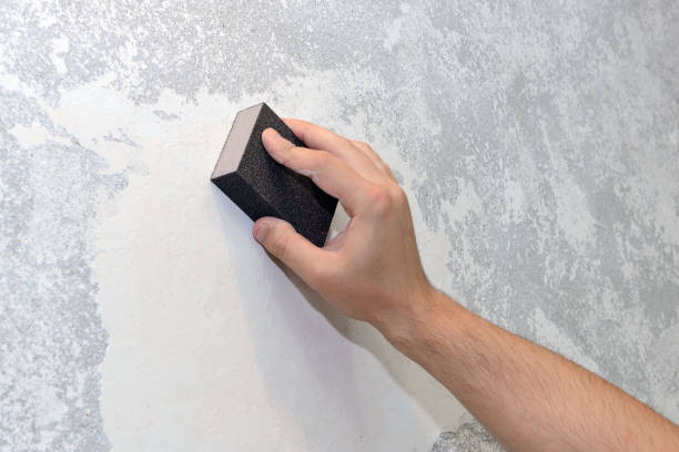 Best Crawl Space Mold Remediation  in Deville, AL