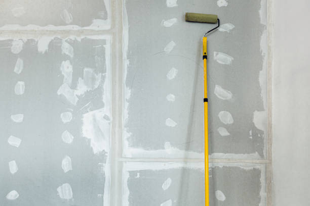 Best Mold Remediation for Vacation Homes  in Deville, AL