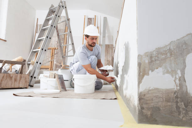 Best Mold Prevention Services  in Deville, AL