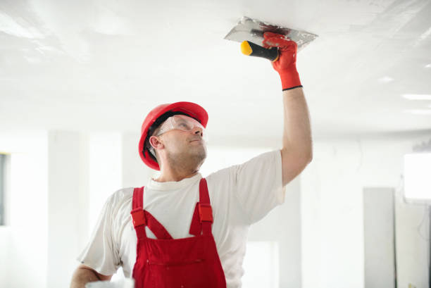 Best Mold Removal for HVAC Installations  in Deville, AL
