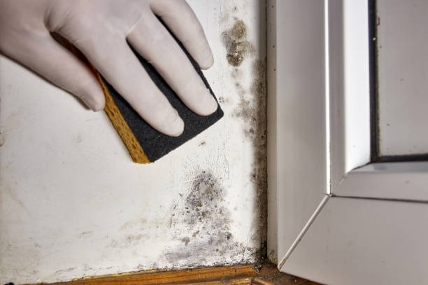 Best Post-Remediation Verification Testing  in Deville, AL