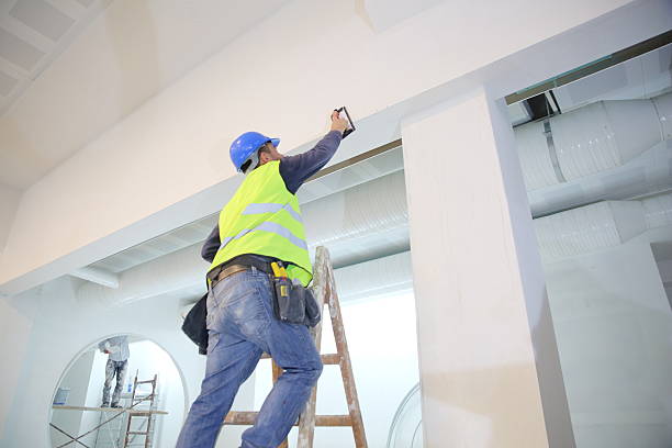 Best Water Damage & Mold Remediation  in Deville, AL